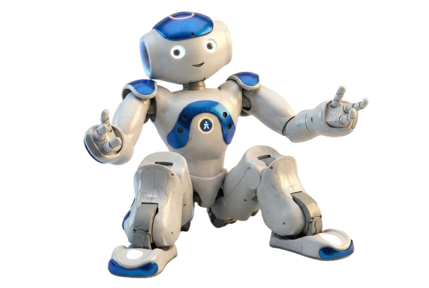 Nao Robot Right